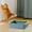 Blue Yellow, variant on TOOYFUL Cat , Cat Sandbox, Cat Litter Tray, Cat Toilet, Cat for Domestic Cats, All Kinds of Cat Litter for Kittens White
