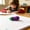 Purple, variant on Rubber Eraser | Soft & Cute Push-Pull Eraser – Smooth Sliding, No Scratch, Clean Removal for Pencil Marks – Ideal for Office, Home & Daily Use,Yellow
