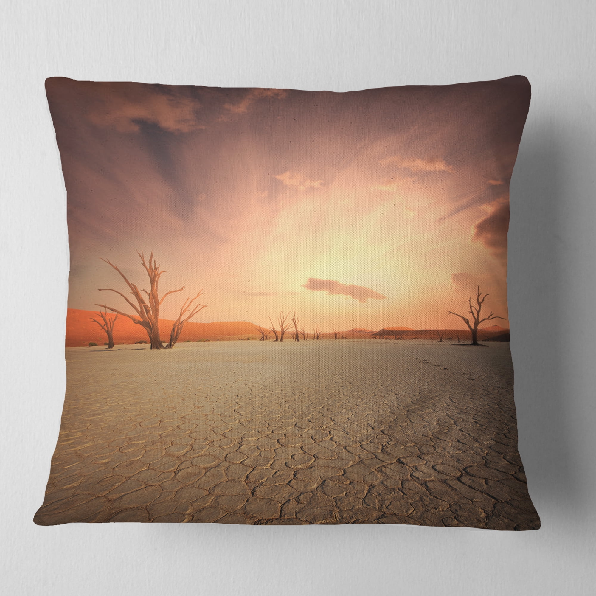 Designart Namib Desert Beautiful Cracked Land - African Landscape Printed Throw Pillow - 16x16