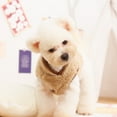 thumbnail image 3 of New Dog Winter Clothes, Double-Sided Plush High-Neck Coat with Leash Hole, Warm & Cute Small Dog Jacket for Cold Weather, 3 of 11