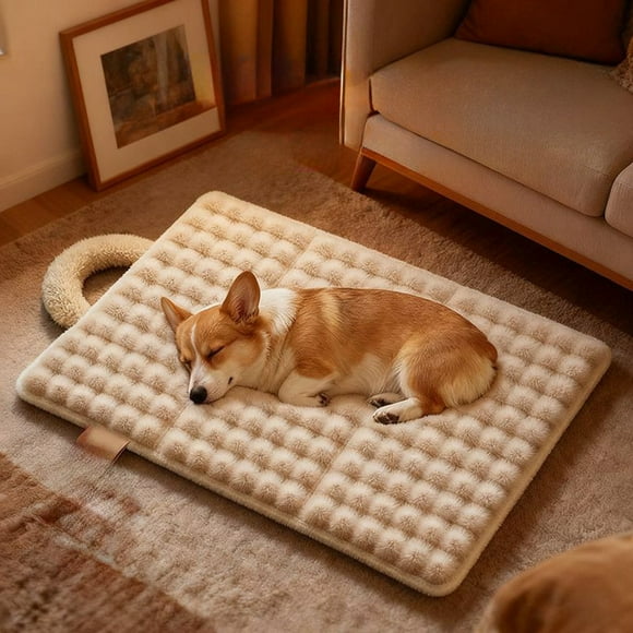 Tapis de Câlin pour Chats et Chiens Réversible Lavable Base de Lit Confortable pour Usage Intérieur Extérieur Fournitures pour Animaux