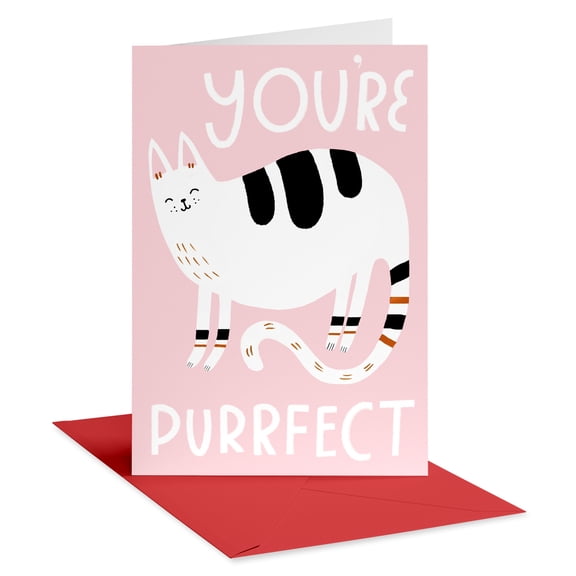 American Greetings Valentine's Day Card for Anyone (You're Purrfect)