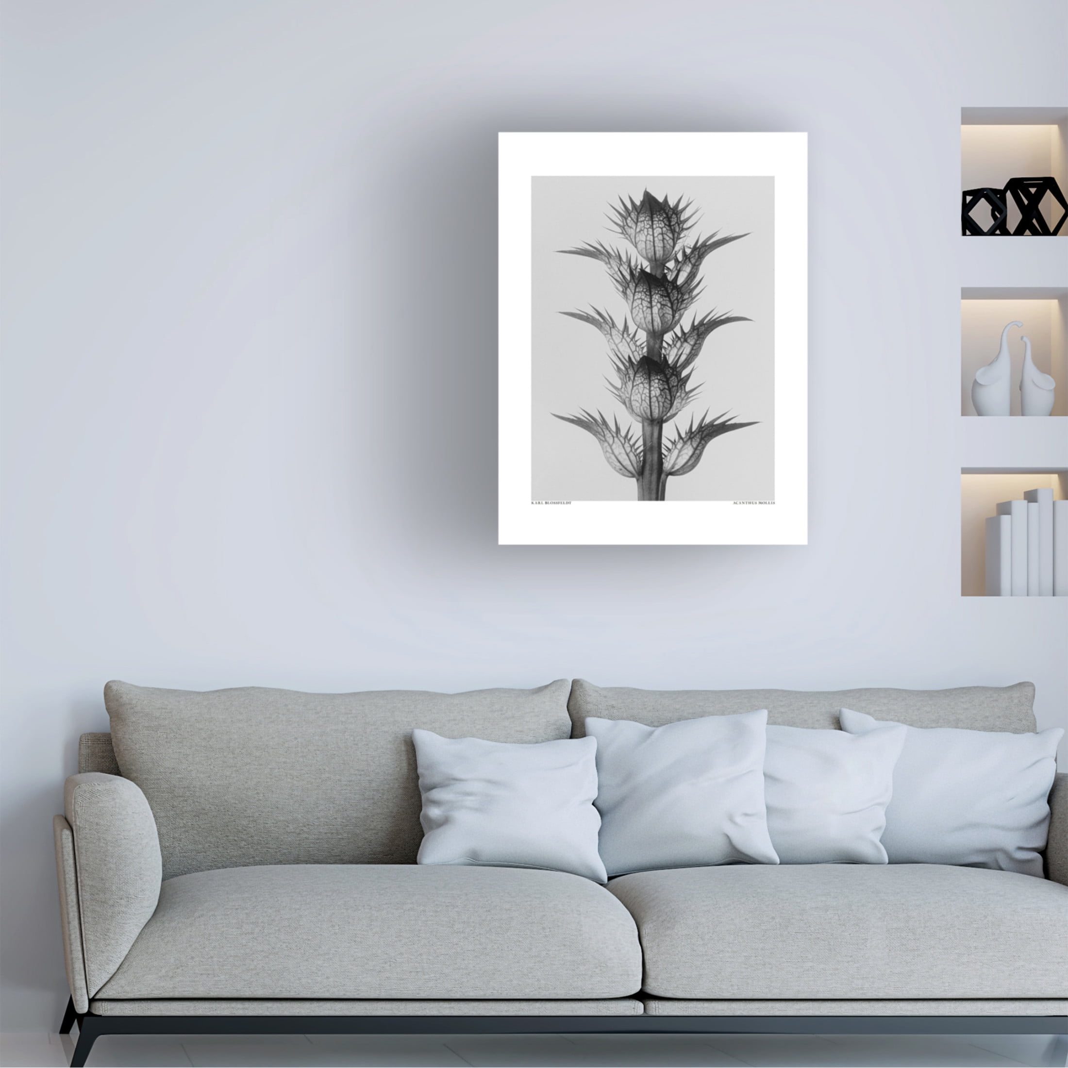 Trademark Fine Art Pictufy  Acanthus mollis Canvas Wall Art