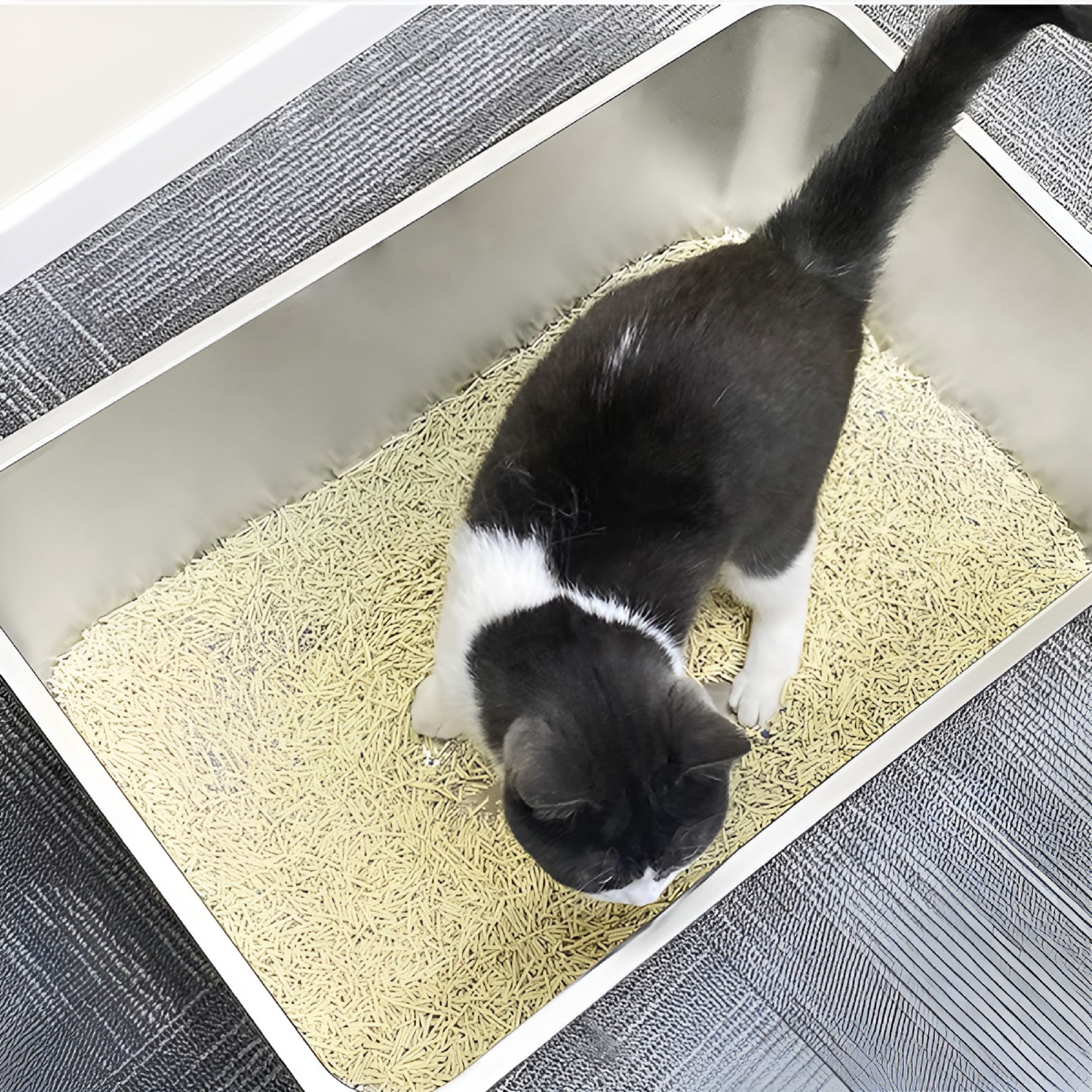 ACDANC 2 Pack - Stainless Steel Litter Box for Cat or Rabbit, High Side and Easy to Clean, Rust Proof (17.5" L x 13.6" W x 6" H)