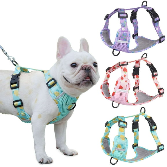 Gustave No Pull Dog Harness Adjustable Reflective Pet Vest Harness Cute Puppy Cat No-Choke Soft Mesh Padded Harnesses for Small Medium Large Dogs "Lake Blue, S"