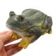 thumbnail image 3 of Llavero para exterior con apariencia falsa, llavero oculto simulado, piedra de almacenamiento, animal, 3 of 6