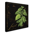 thumbnail image 3 of Trademark Fine Art "Black Gold Herbs IV" Canvas Art by Color Bakery, 3 of 4