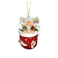 thumbnail image 2 of BKER Christmas Acrylic Christmas Stockings For Cats Decorations Christmas Tree Decorations Crafts Hanging Decorations, 2 of 4
