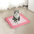 thumbnail image 5 of JOGZMZ Summer Cool Mat Sleeping Pad Water Absorption Top Bottom Materials Safe Easy Carry Keep Cool for Pet Kids and Adults Pink 23.62x15.74in, 5 of 7