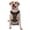 With Accessories, variant on Vsdgher Decorative Feathers Pattern Dog Harness,No Pull Pet Harness with Soft Padded Handle,Adjustable Reflective Vest with 2 Buckles,4 Slide Buckles,S-XL X-Large
