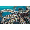 thumbnail image 2 of Vitaletti, Carolee 14x10 Gold Ornate Wood Framed with Double Matting Museum Art Print Titled - Wild Octopus I, 2 of 4