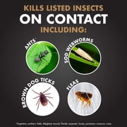 Spectracide Immunox Fungus Plus Insect Control for Lawns, 32 Ounces