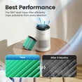 thumbnail image 5 of MORENTO Genuine Air Purifier Replacement Filter for MR2566 Air Purifier, Pet Dander Version, 1 Pack, 5 of 7