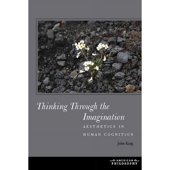 American Philosophy Thinking Through the Imagination: Aesthetics in Human Cognition, (Paperback)