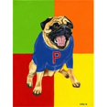 thumbnail image 1 of Carolines Treasures AMB1068GF Go Team Varsity Pug Flag Garden Size, 1 of 3