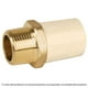 thumbnail image 1 of Adaptador macho de CPVC con inserto metálico 1-1/4' Foset Foset CPVC-654, 1 of 3