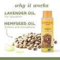 thumbnail image 2 of Natural Hemp Lavender Dog Shampoo - Calming Formula with Hemp Seed Oil - pH Balanced, 16 Fl Oz, 2 of 4