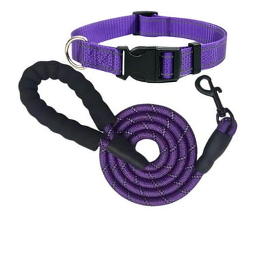 GASTROPOD Dog Leash and Collar Set, Anti-Pull Durable Nylon Training Collar with Comfortable Handle for Medium Dogs,Purple