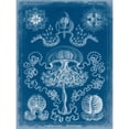 thumbnail image 3 of Vision Studio 12x14 Black Modern Framed Museum Art Print Titled - Marine Blueprint IV, 3 of 5