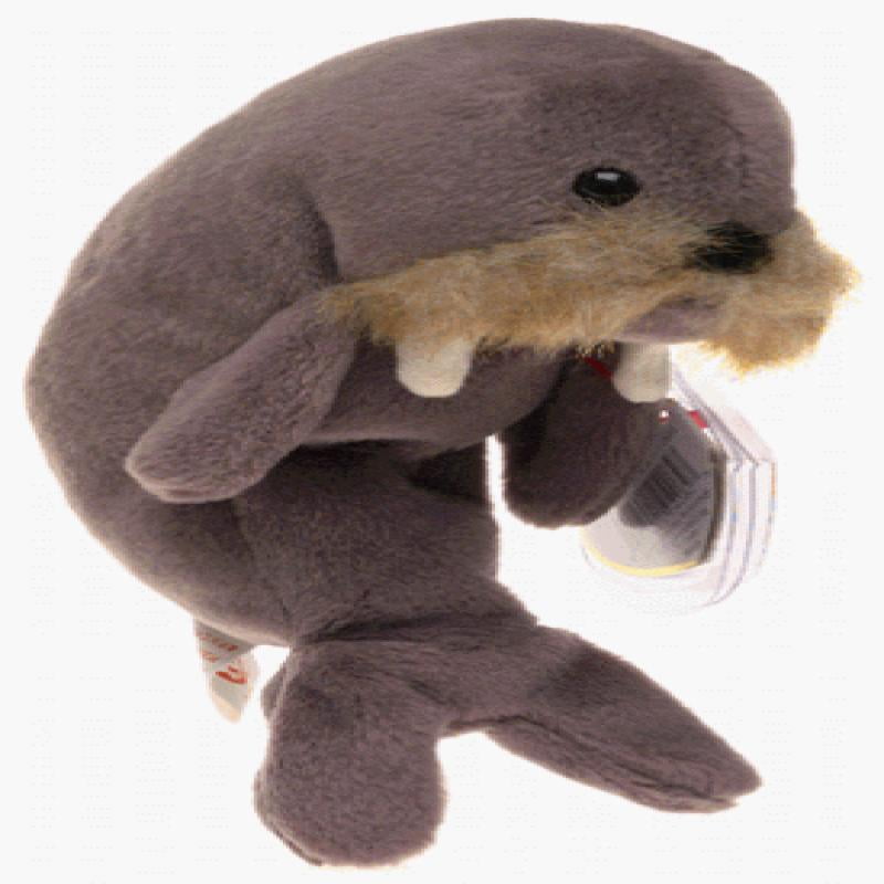 jolly the walrus beanie baby