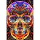 thumbnail image 1 of Kits de pintura de diamante YONGSHENG calavera decorativa de pared 5d Halloween DIY, 1 of 5