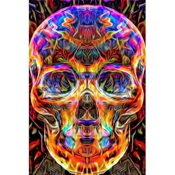 Kits de pintura de diamante YONGSHENG calavera decorativa de pared 5d Halloween DIY