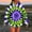 Purple, variant on Snorda Womens Hoodies TieDye Sweatshirts for Women Drawstring Pullover Hoodie Loose Comfy Long Sleeved Pocket Fashion Top for Daily Outdoors Wear