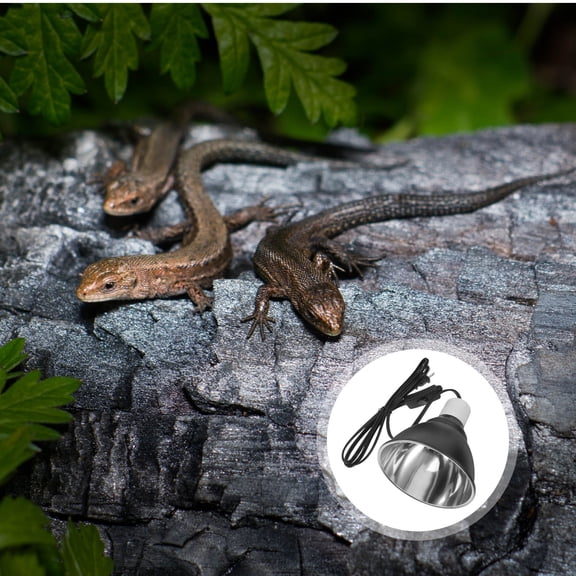 HEMOTON Hemoton Reptile Light Fixture Aquarium Dome for Tortoises Snakes Lizards Bearded Dragons with Uvb Light Socket and Dome Lamp