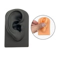 thumbnail image 3 of Accesorios de visualización de simulación de modelo de oreja de silicona suave Ayudas didácticas Pantallas de oreja Herramienta de perforación Ejercic Negro Baoblaze Modelado de partes del cuerpo humano, 3 of 8
