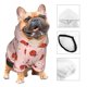 thumbnail image 3 of Balery Ladybug With Flower Sudadera con Capucha para Perros Pequeños – Ropa para Mascotas, Disfraz para Perros y Gatos, Ideal para Fiestas y Cosplay-Large, 3 of 7
