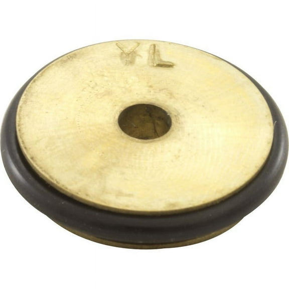 Pentair 460794 Natural Gas to Propane Gas Conversion Replacement Kit MasterTemp 175-BTU High Performance Eco-Friendly Heater