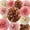Blush Pink and Rose, variant on Rose Gold Blush Pink Tissue Paper Pom Poms 12Pcs Hanging Paper Pom Pom Flowers for Women's Valentine's Mother's Day Boho Baby Shower Bachelorette Birthday Graduations Bridal Wedding Party Decorations