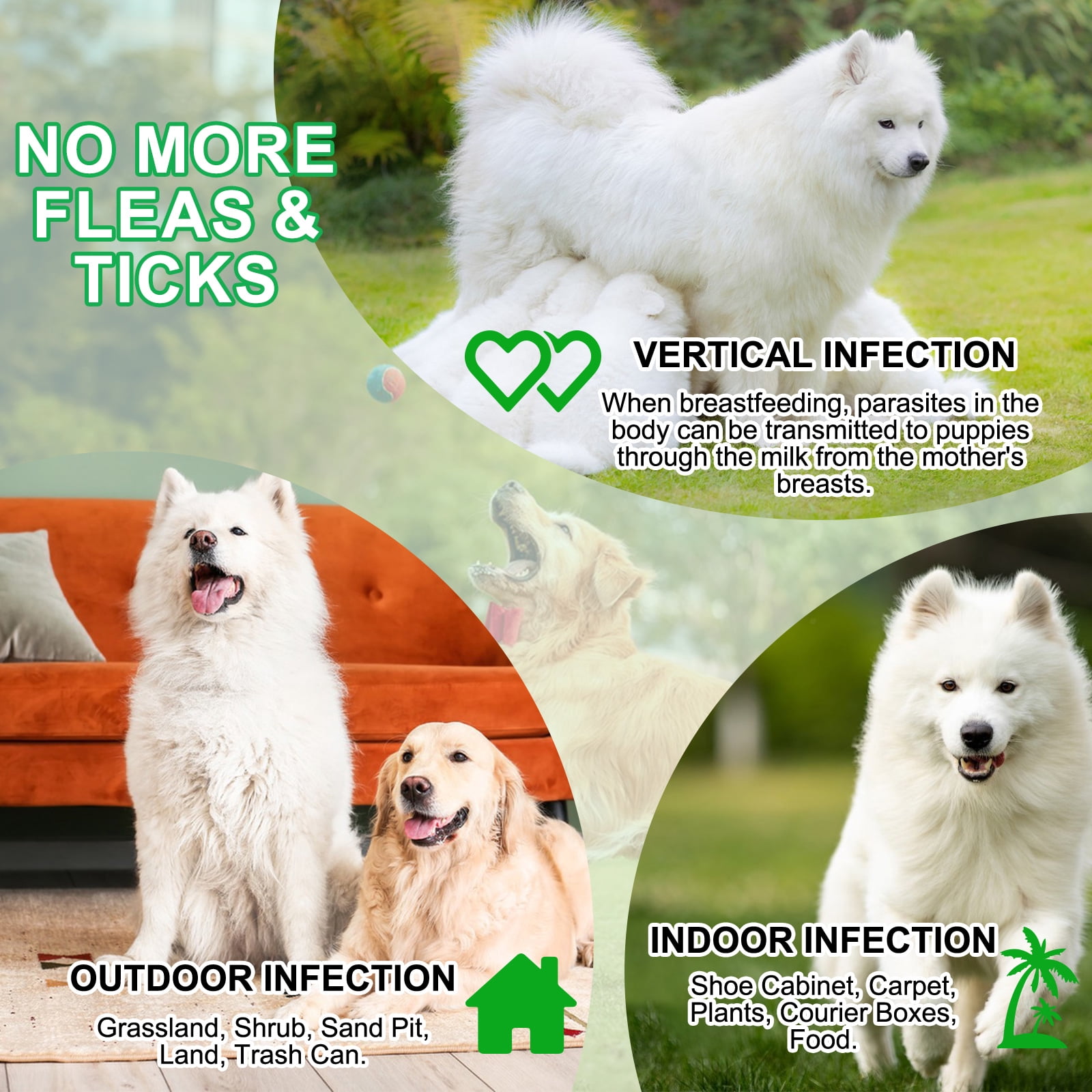 Oimmal Dog Digestive Care Chew Treats - 60 Soft Chews with Brewer's Yeast - All Natural Support for Dogs - Peking Duck Flavor 5Pack