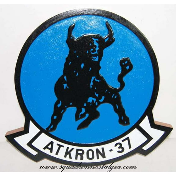 VA-37 Ragin' Bulls Plaque