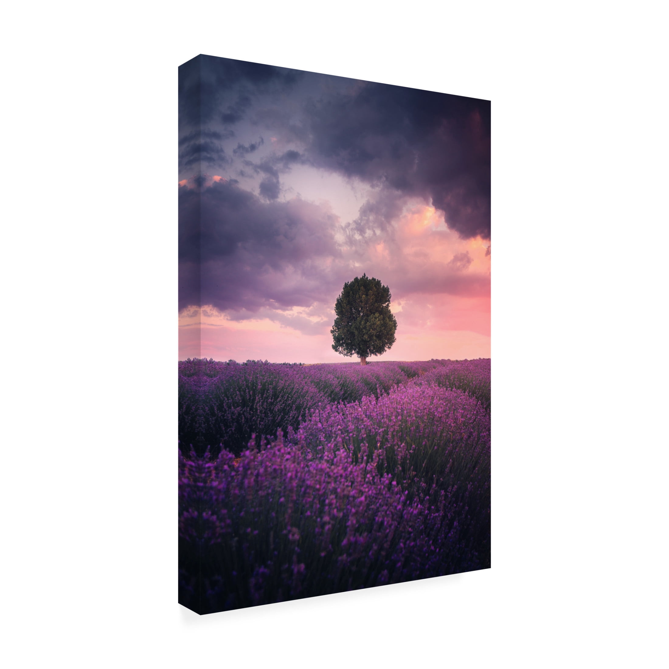 Cuma Cevik 'Lavender Fields' Canvas Art - 22 x 32 Inches