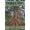 colour-13, variant on Standing in Victory: Biblical Insight That Cultivates Transformation, (Paperback)