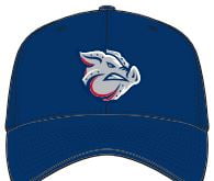ironpigs hat