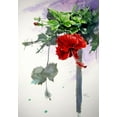 thumbnail image 2 of Kovacs, Anna Brigite 24x32 White Modern Wood Framed Museum Art Print Titled - Hibiscus, 2 of 4