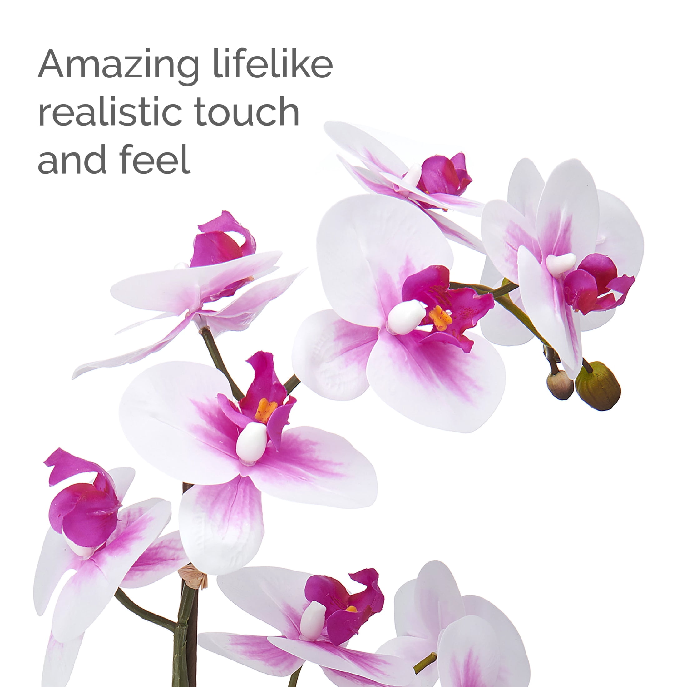 Home Accents 22-inch Artificial Real Touch Phalaenopsis Orchid in Cement Pot, White/Fuchsia
