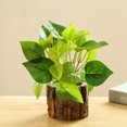 thumbnail image 2 of Fake Plant Plant Realistic: Wooden Pot Artificial Plant Desktop Plant Decoration, 2 of 2