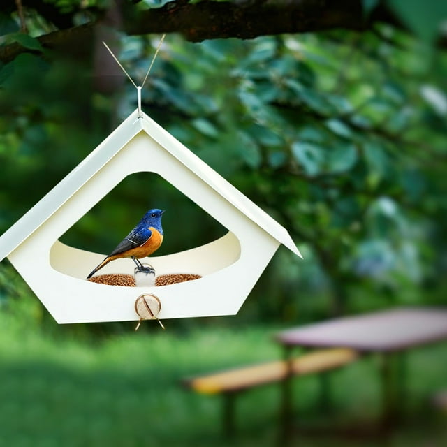 Xihbxyly Comedero de Hierro para Pájaros, Elegante Comedero Colgante para Exteriores, Resistente a La Intemperie, Fácil de Rellenar, Adorno de Jardín, Comedero para Pájaros, Decoración de Patio.