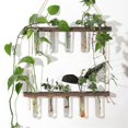 thumbnail image 2 of Tubo de ensayo de planta hidropónica de vidrio montado en la pared, 2 capas, 5 agujeros, decoración de pared, colgante de madera maciza, jarrón hidropónico montado en la pared, 2 of 5