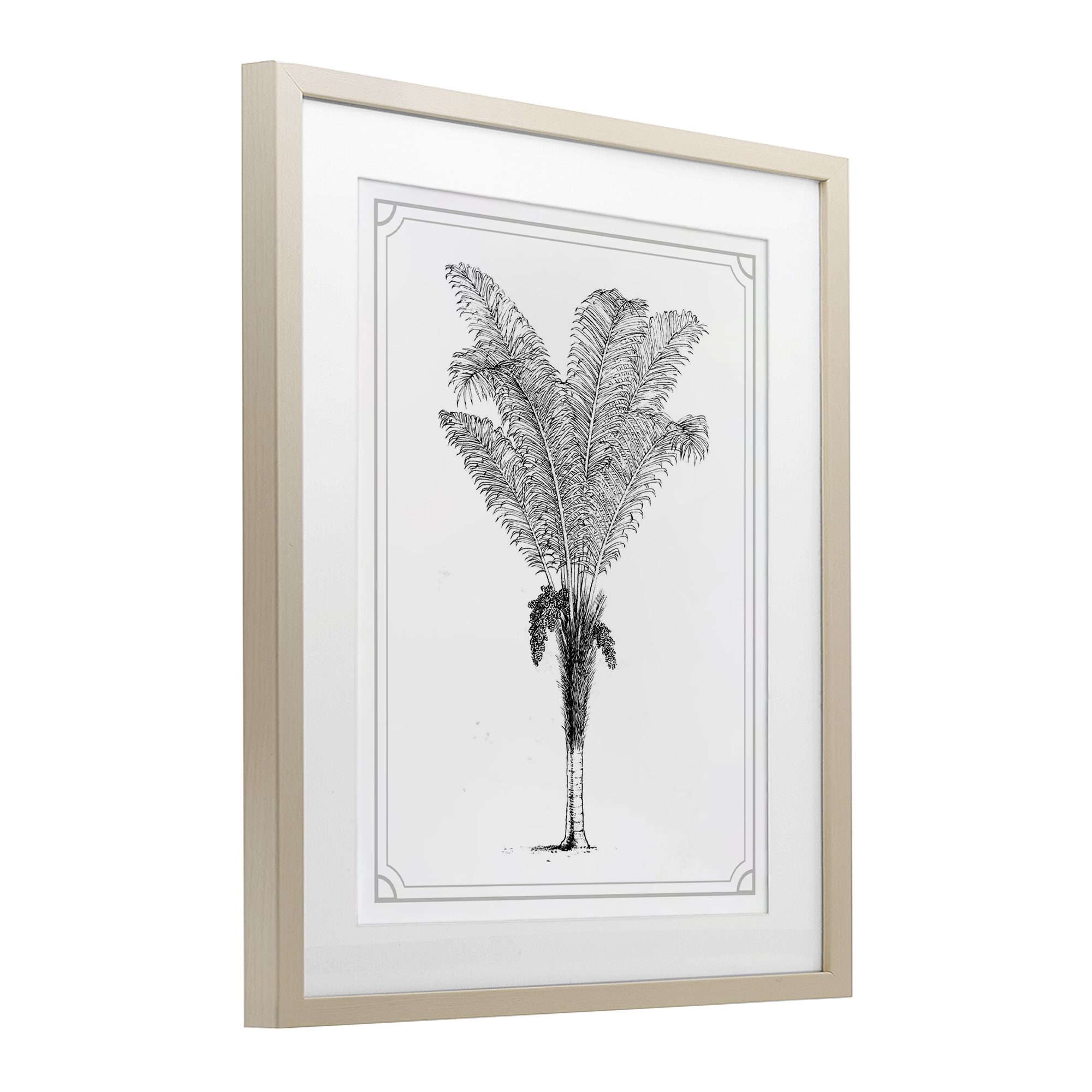 Vintage & Minimal Palm Birch Framed Print Under Glass, design by Lettered and Lined
