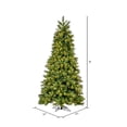 thumbnail image 3 of Vickerman 9' x 57" Brighton Pine Artificial Christmas Tree with Warm White Dura-lit LED Lights, 3 of 5