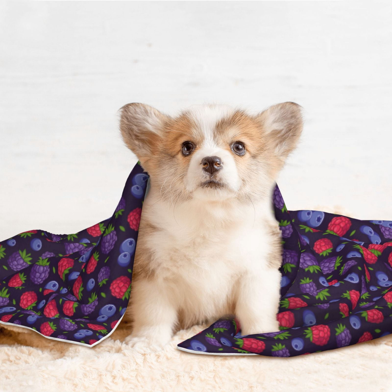 Naloa Blackberries Dog Blanket, 3 Sizes Cat Blanket for Indoor Cats Large Medium Small Dog Gifts-Small