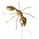 thumbnail image 2 of Escultura de Decoración de Jardín Colco Aleación Grande Insectos Arte Escultura, 2 of 8