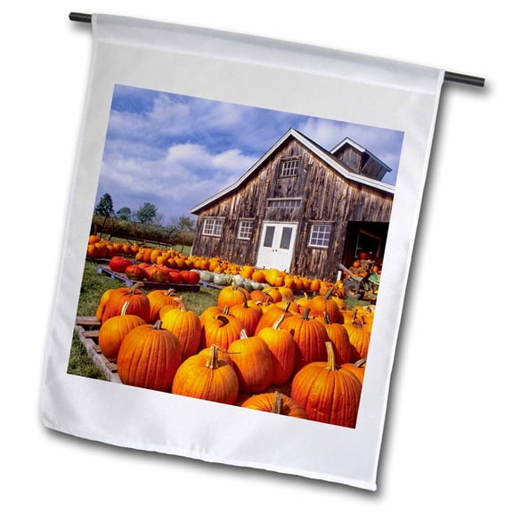 3dRose, USA, Vermont, Shelbourne, Pumpkins, farm - US46 RDU0002 - Richard Duval, 12 x 18 inch Garden Flag