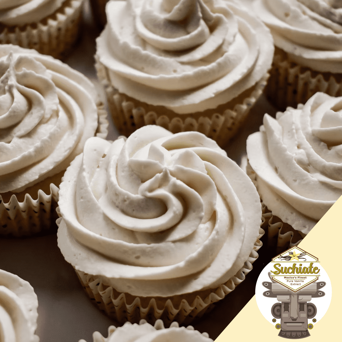 Suchiate Pure Vanilla 16.9oz (500mL) | Mexican Vanilla for Baking and Desserts | Made with Real Vanilla Bean | Vainilla Mexicana