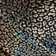 thumbnail image 2 of Cheetah Hologram Nylon Spandex Tricot Fabric  | Spandex palace, 2 of 7