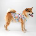 thumbnail image 3 of Zhuge Chaleco para perros y gatos, chaleco transpirable para mascotas, sudadera para cachorros, ropa para perros, prendas de vestir, abrigos para perros pequeños, medianos y gatos, XL, A80, 3 of 4